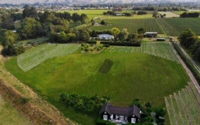 Vineyard ground great addition to Marlborough cricket