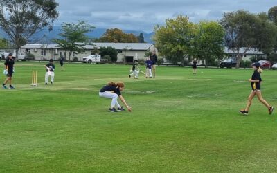 Penultimate Weekend of Summer Cricket