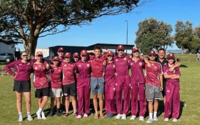 Cricket News: Loss to Nelson ends Hawke Cup hopes